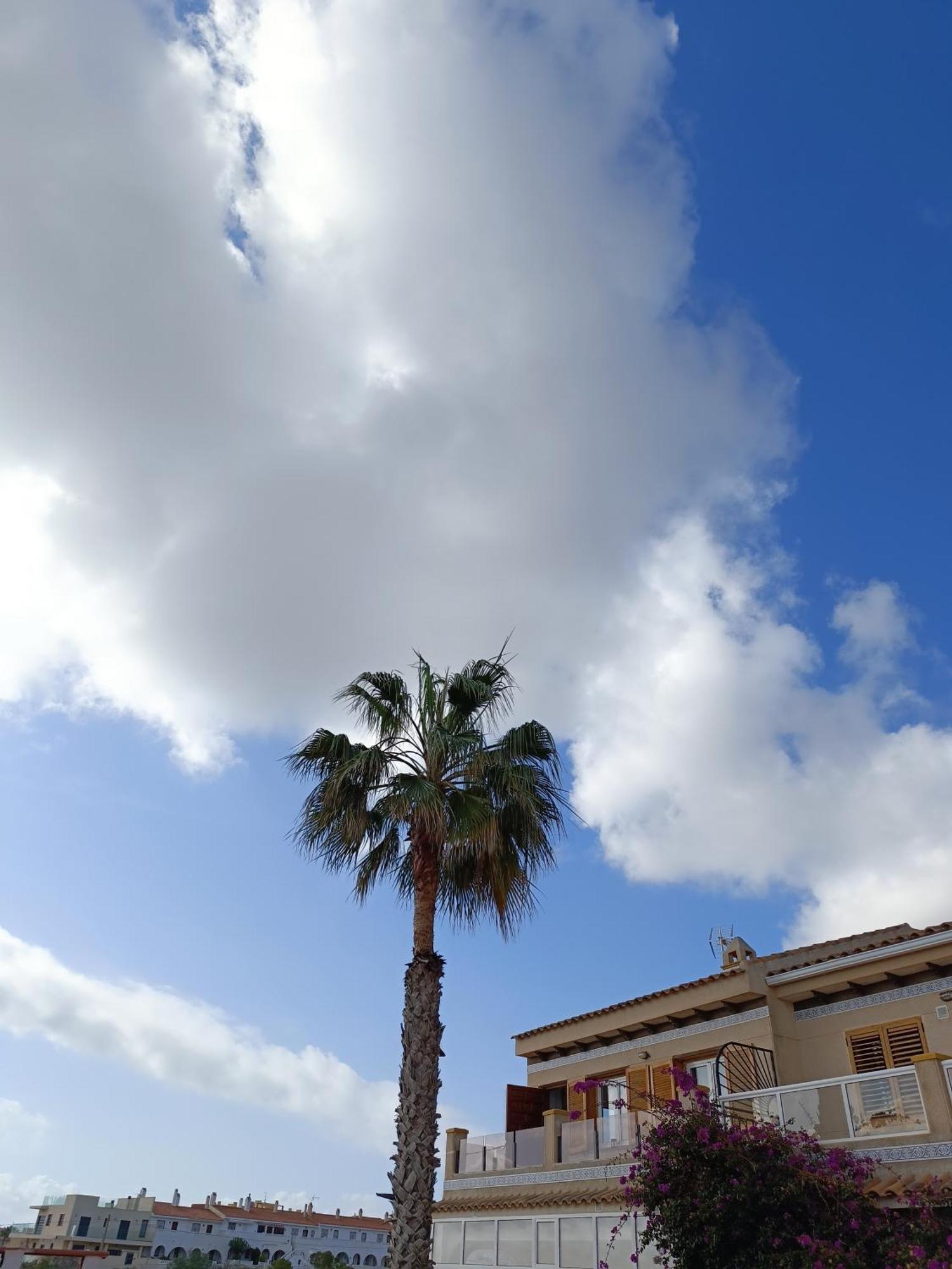 Rising Sun Bungalow Torrevieja Exteriör bild
